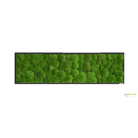 Produktbild: Produktbild: